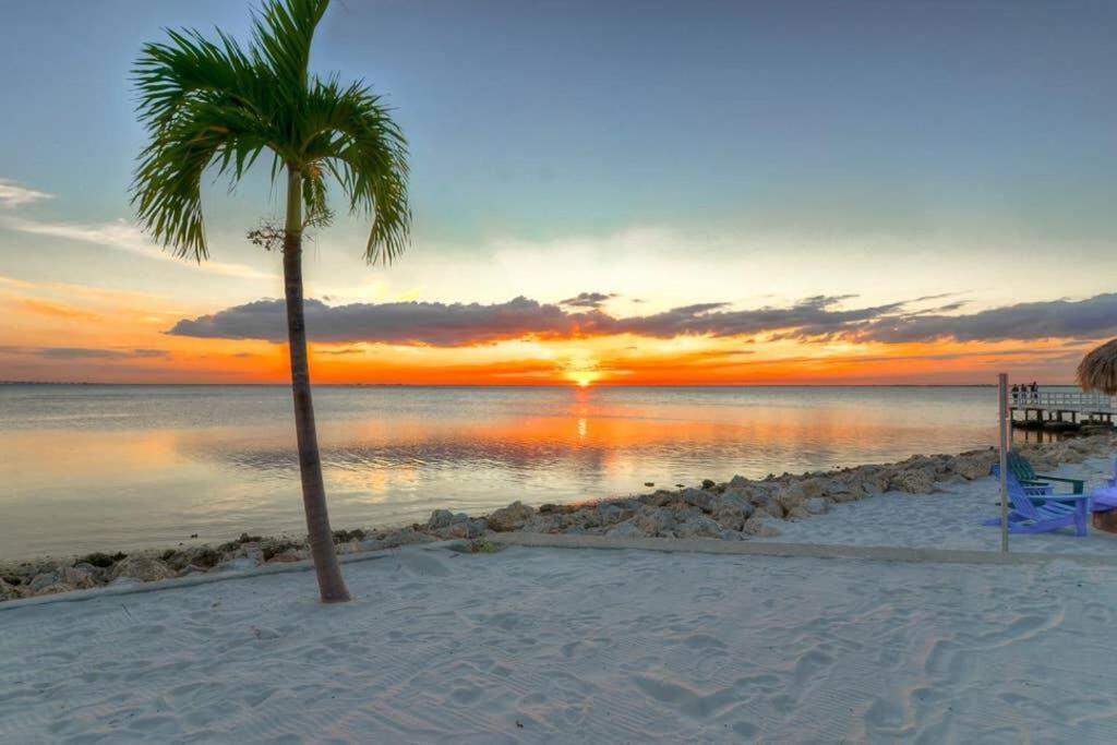 409-waterfront View, Wifi, Pool, Close To Bucs Stadium Apartment